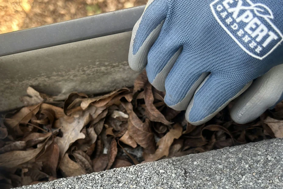 Gutter Cleaning Kearney, MO