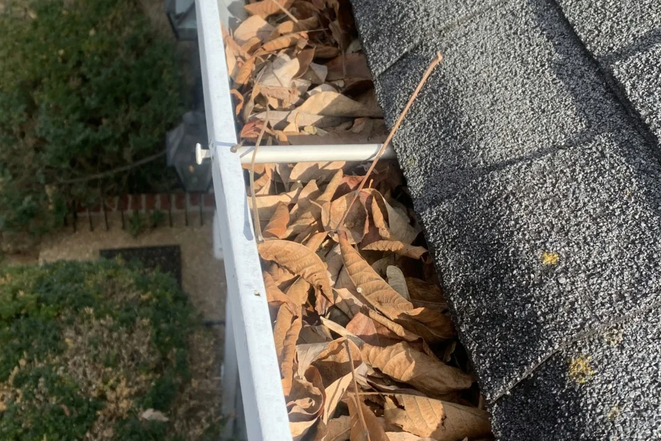 Gutter Cleaning Kearney, MO