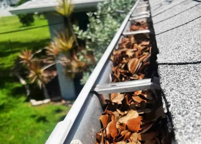 Gutter Cleaning Kearney, MO home page